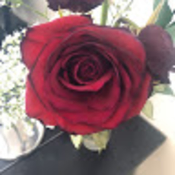 Meet your Posher, Cynthia - Picture 1 of 1